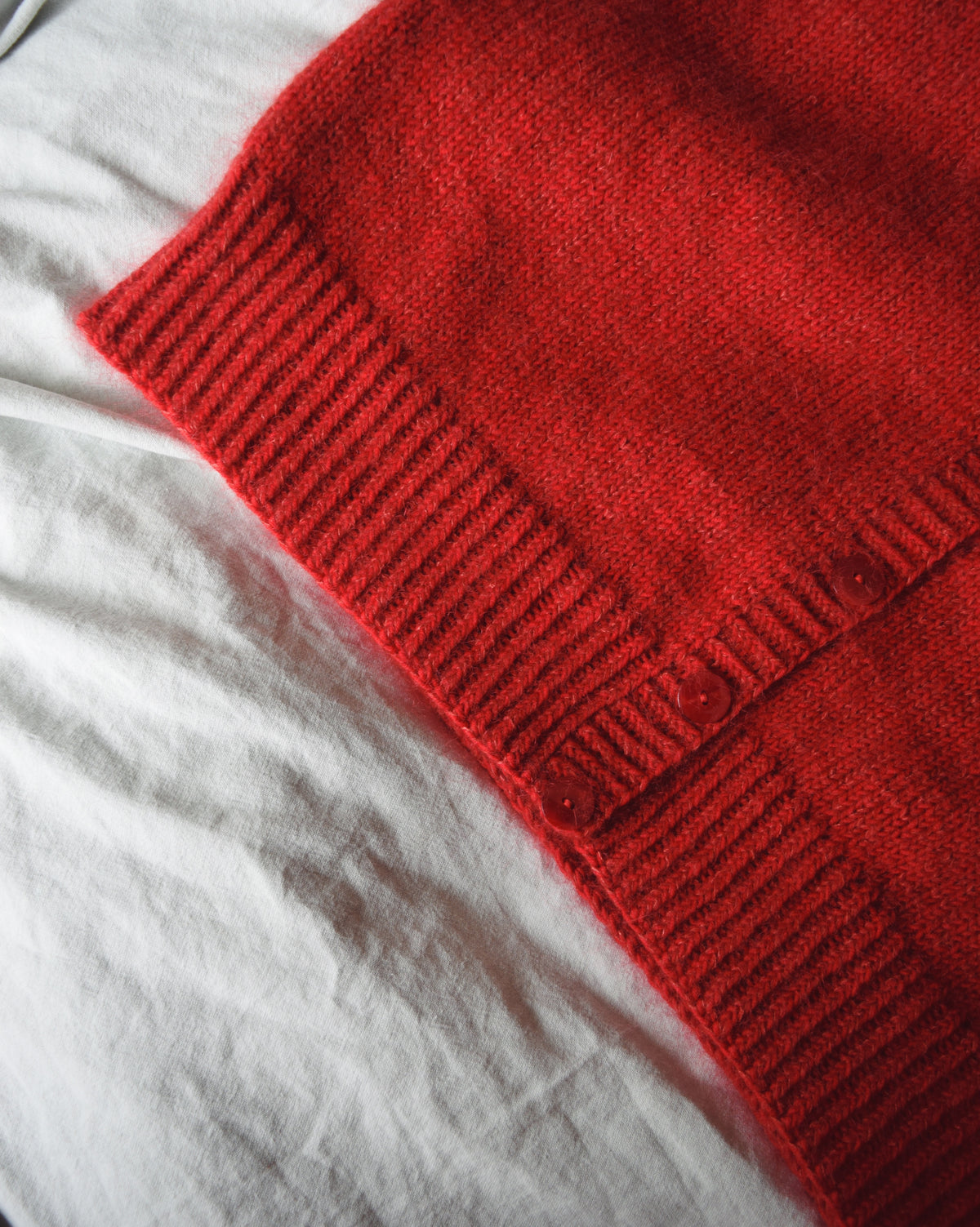 FNUG vest (EN)